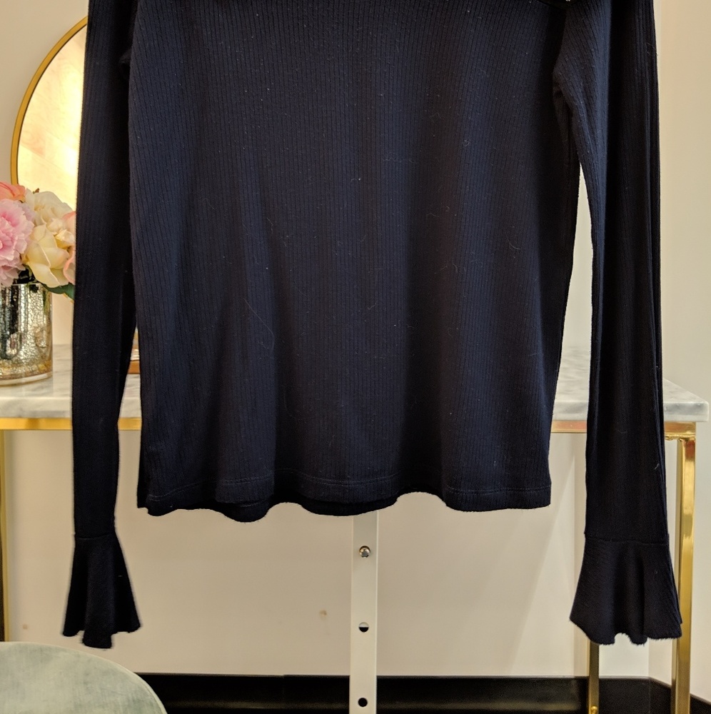 Zara Mesh Long Sleeve Blouse - Picture 4 of 4